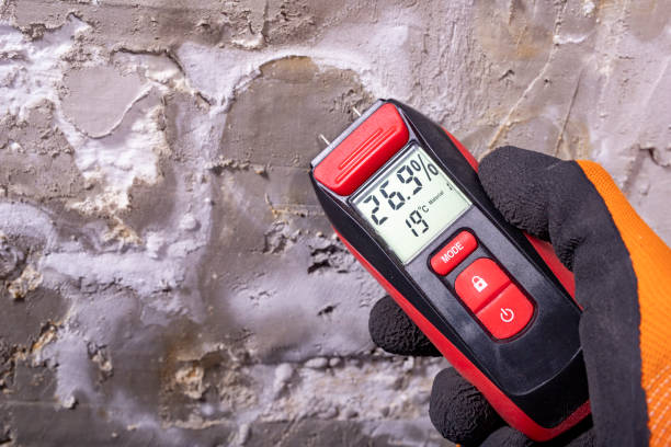 Lake Of The Woods, VA Mold Removal Company