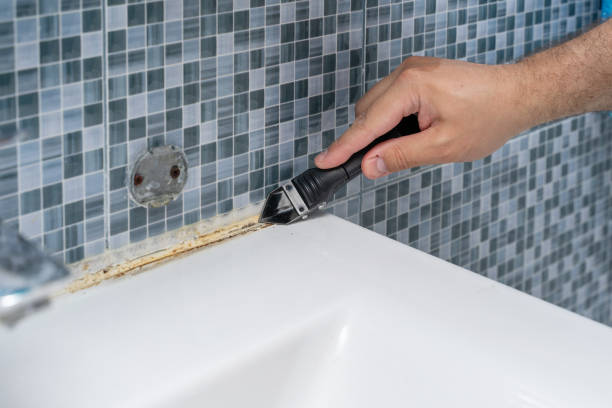 Best Black Mold Removal  in Lake Of The Woods, VA