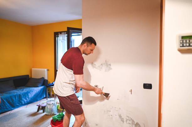 Best Attic Mold Removal  in Lake Of The Woods, VA